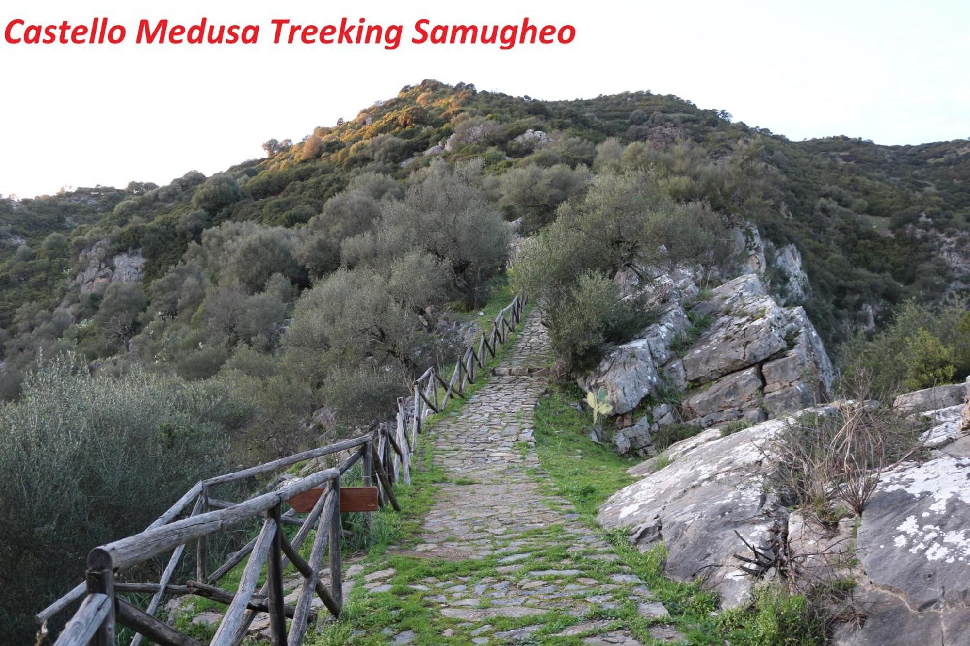 Samugheo B&B Da Marianna מראה חיצוני תמונה